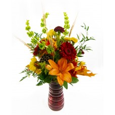 Fall Foliage